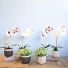 Arranjo De Folhagem Artificial No Vaso Geométrico | Formosinha